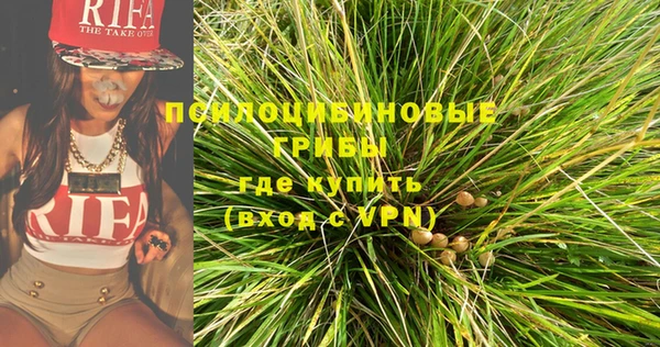 spice Алексеевка