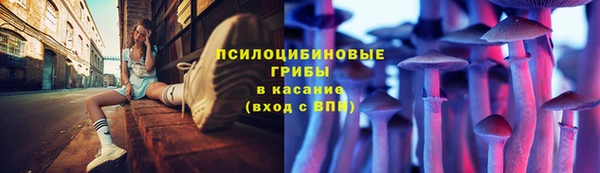 мескалин Инта