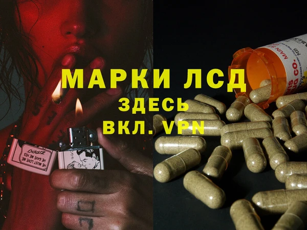 герыч Зерноград