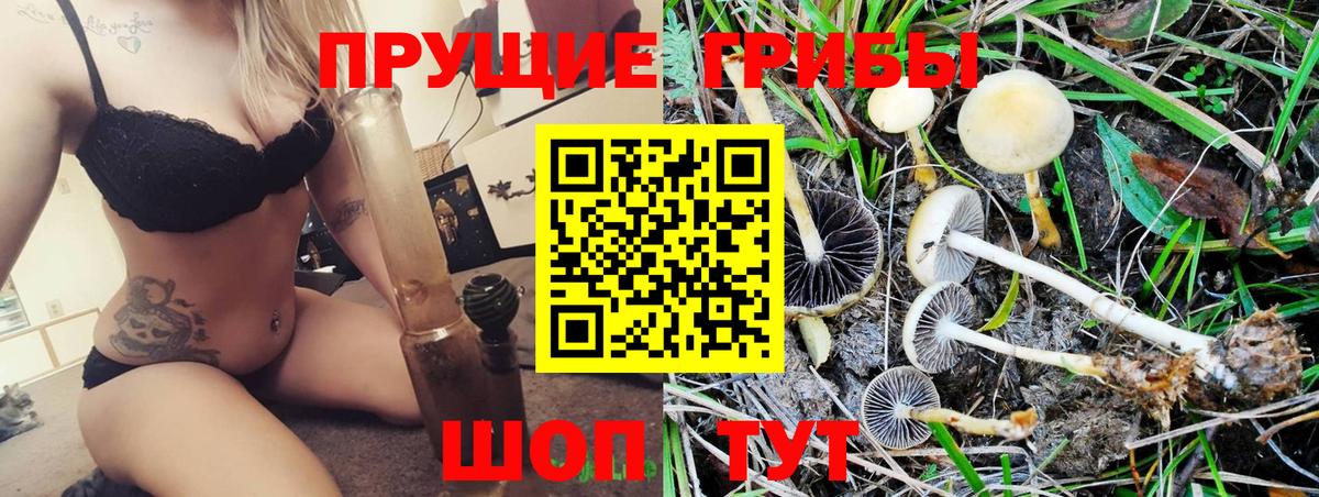 Томск  Псилоцибиновые грибы GOLDEN TEACHER  Вход с VPN 